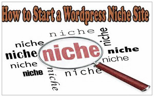 wordpress niche site